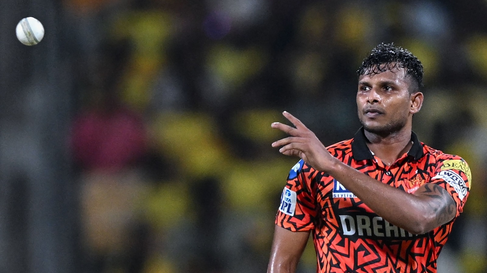 T Natarajan to make India comeback? SRH coach makes sizzling prediction after pacer misses out on T20 World Cup squad