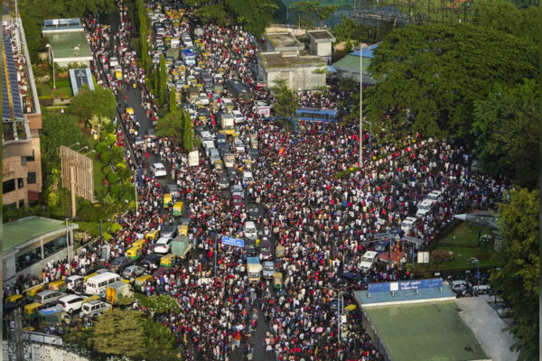 Watch: Fans climb trees and buses to witness RCB’s IPL victory | Cricket News Watch: Fans climb trees and buses to witness RCB’s IPL victory | Cricket News