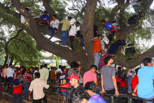 Bengaluru stampede: 'Sad day for cricket' - Cricket world mourns tragedy during RCB's IPL victory celebrations | Cricket News