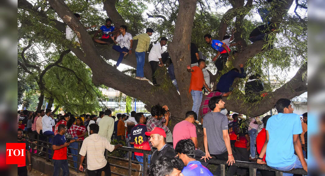 Bengaluru stampede: 'Sad day for cricket' - Cricket world mourns tragedy during RCB's IPL victory celebrations | Cricket News
