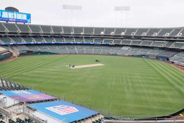 WATCH: Oakland Coliseum readies for cricket with MLC 2025; drop-in pitches installed | Cricket News