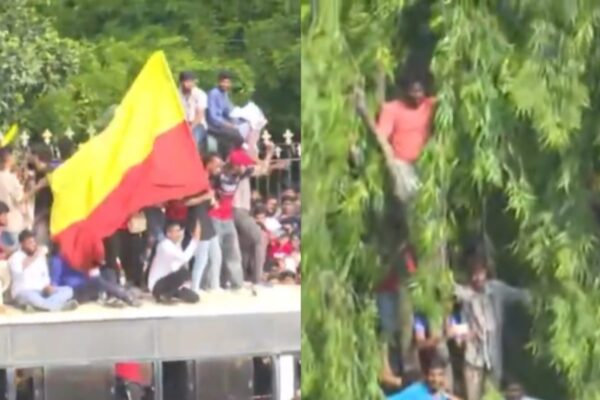 Frenzied fans climb trees, Chinnaswamy Stadium walls to see RCB stars amid stampede. Video | Trending Frenzied fans climb trees, Chinnaswamy Stadium walls to see RCB stars amid stampede. Video | Trending